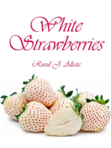 White Strawberries By Rusul J. Altaie